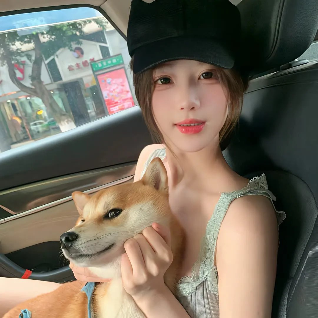 车车车封面