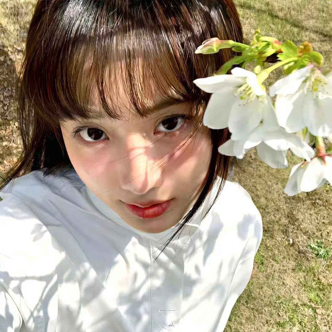 你的鸟儿会唱歌封面